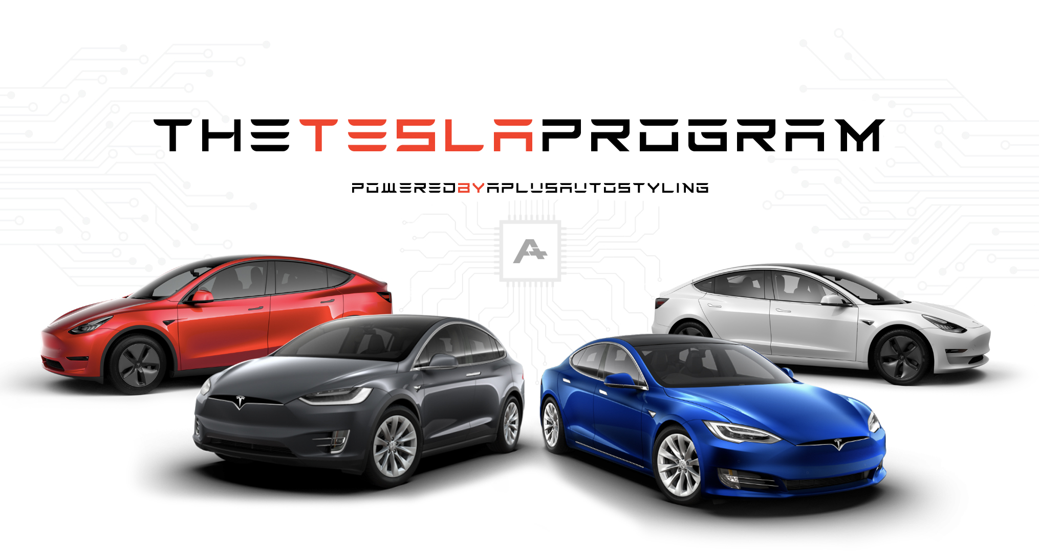 Tesla Auto Detailing